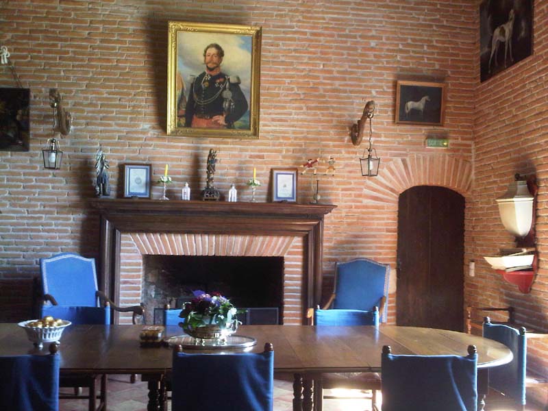 Château de Thegra_31130 BALMA_9